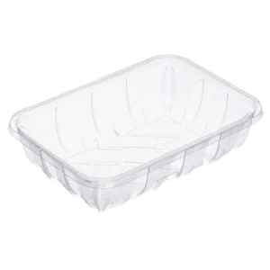 42P Meat Tray Clear