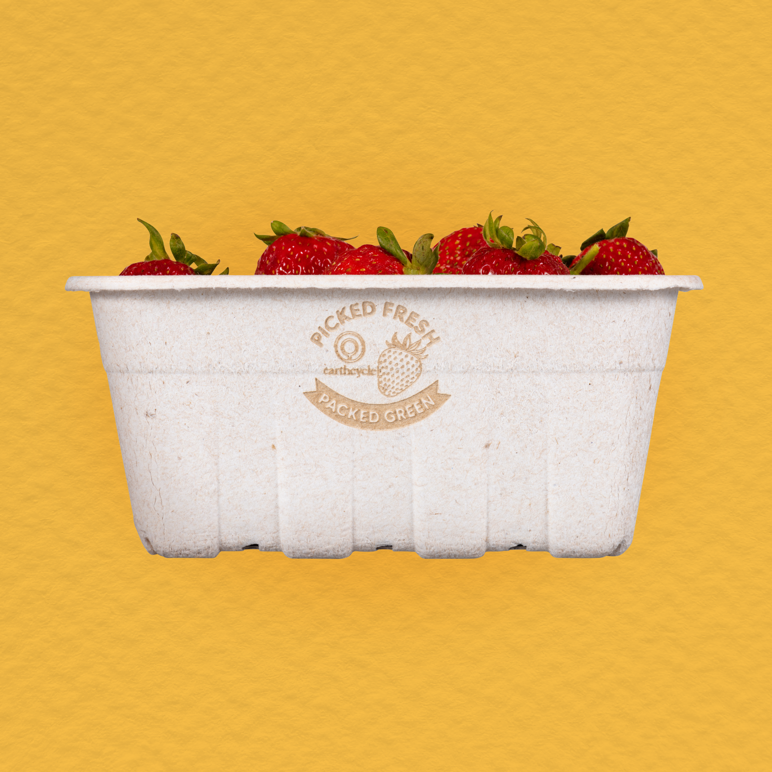 EC3780 Strawberries (2)